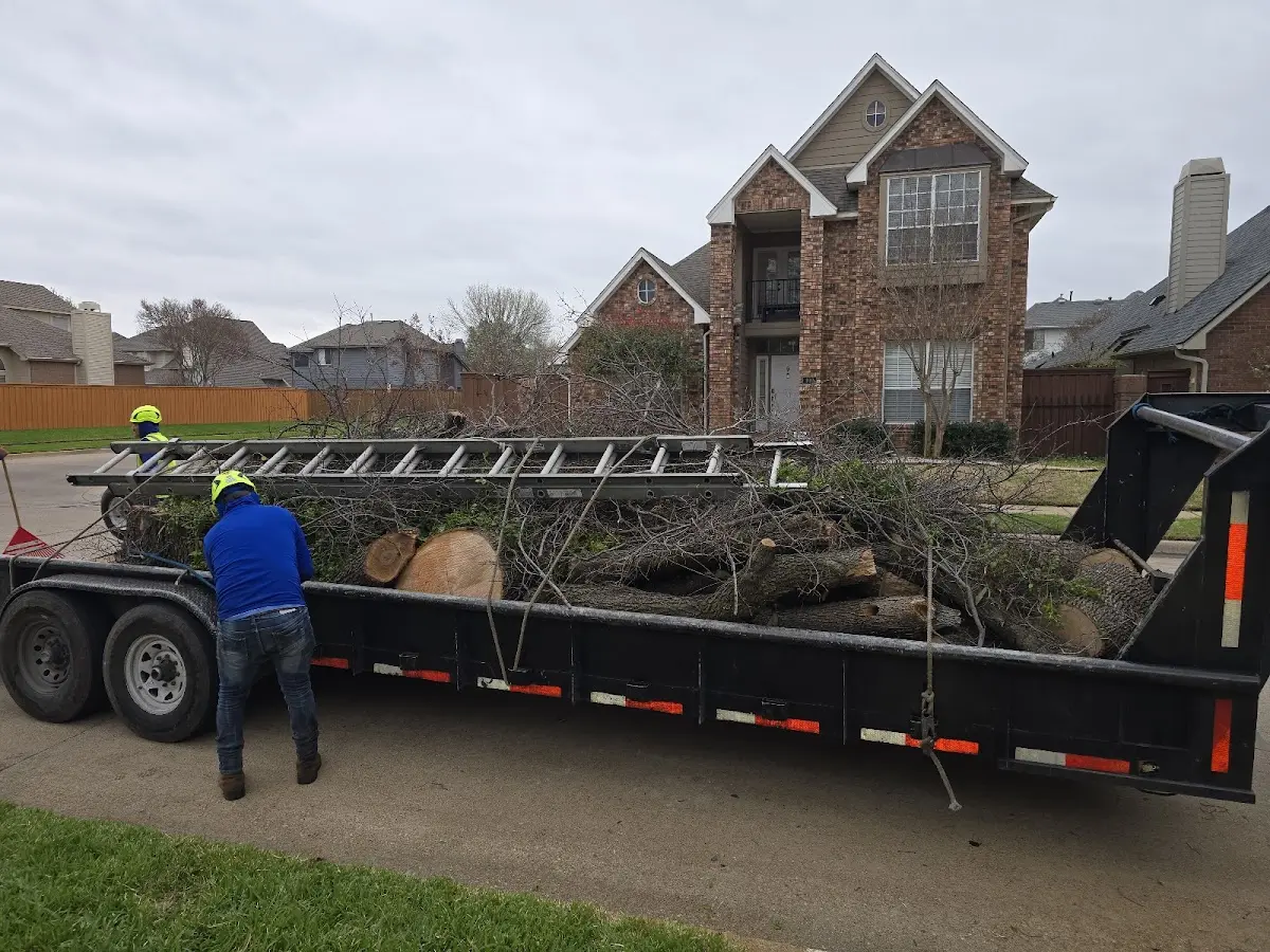 Expert Tree Fertilization with proper safety equipment in Shiloh